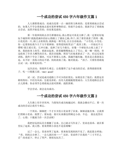 一个成功的尝试450字六年级作文