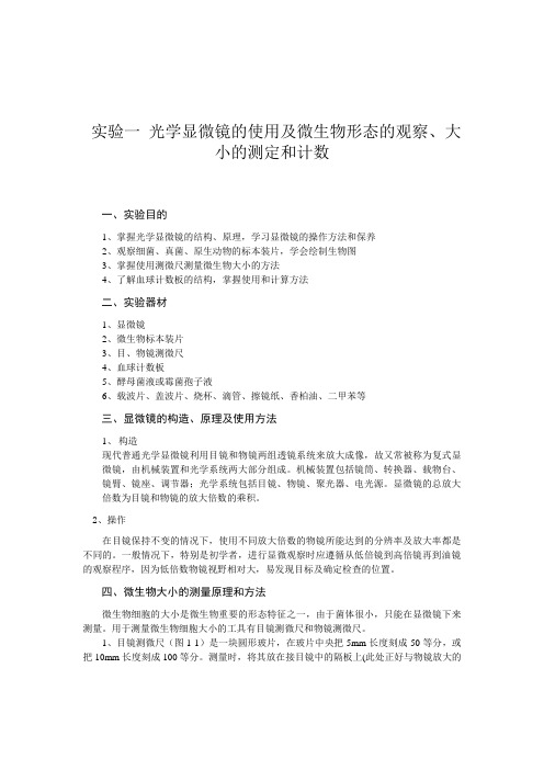 实验一 光学显微镜的使用及微生物形态的观察、大小的测定和计数