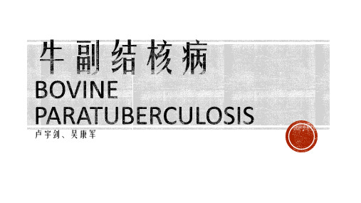 副结核病