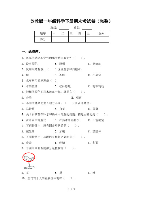 苏教版一年级科学下册期末考试卷(完整)