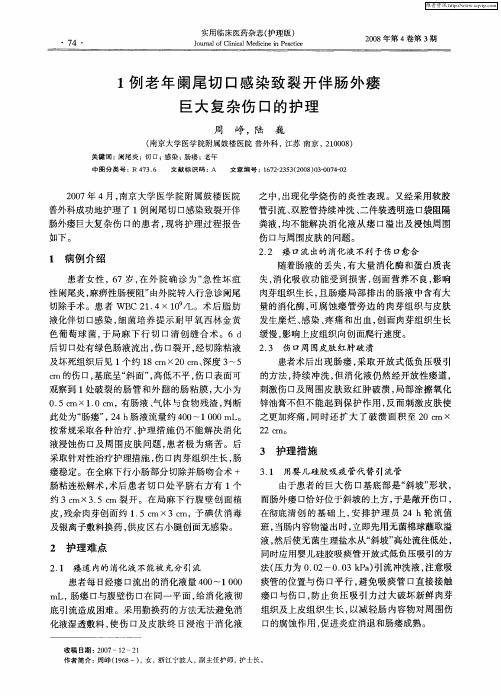 1例老年阑尾切口感染致裂开伴肠外瘘巨大复杂伤口的护理