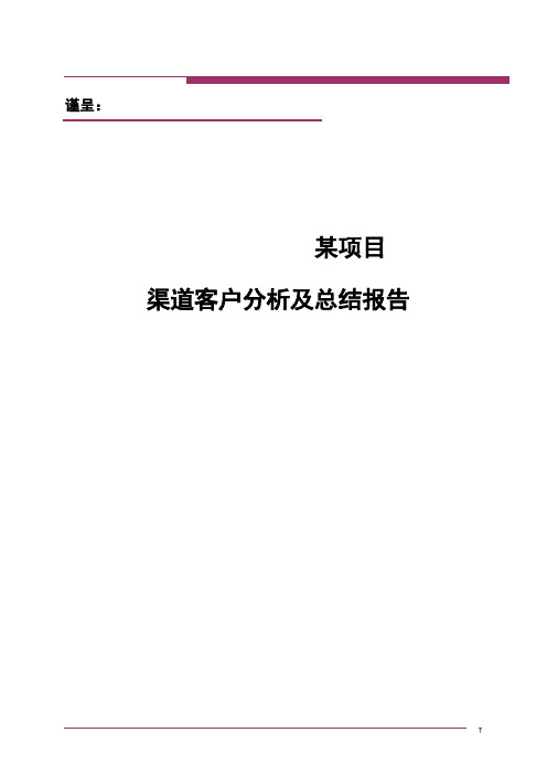 客户分析报告