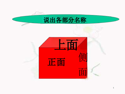 观察物体小方块例课件