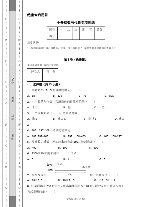 小升初数学 数与代数 专项训练 必考知识点