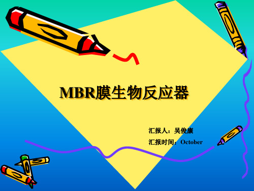 膜生物反应器(MBR)