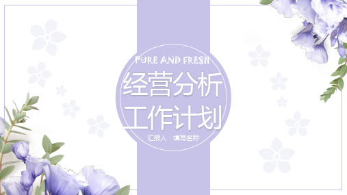 新版2020年经营分析工作计划模板
