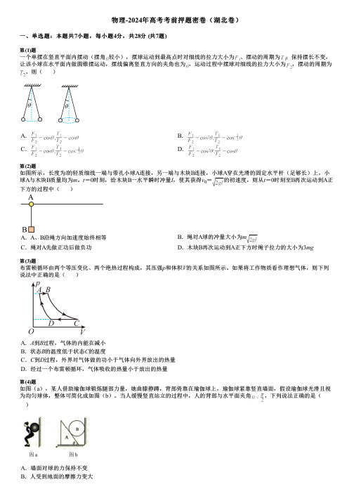 物理-2024年高考考前押题密卷(湖北卷)