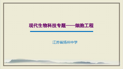 生物高考复习现代生物科技专题_细胞工程23张