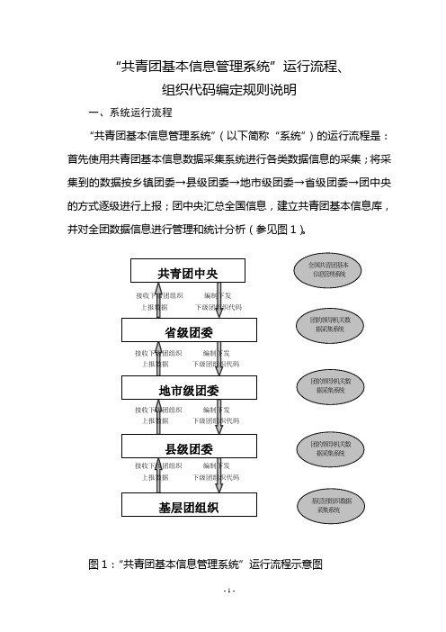 “共青团基本信息管理系统”运行流程、组织代码编定规则说明