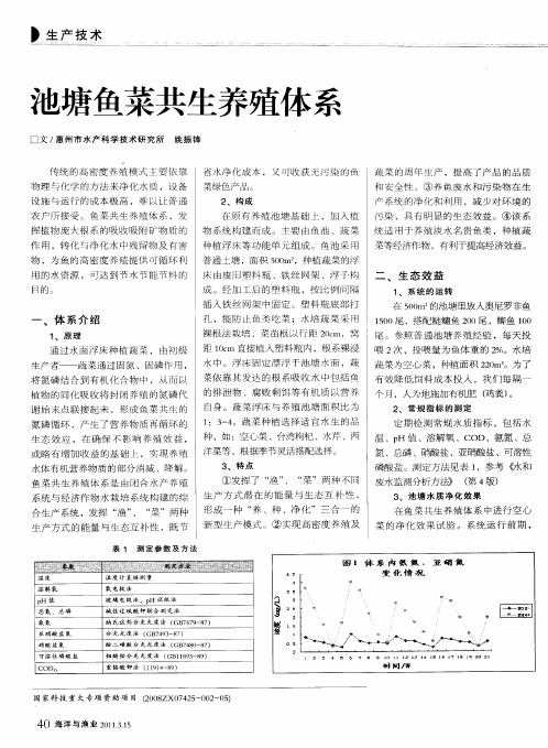 池塘鱼菜共生养殖体系