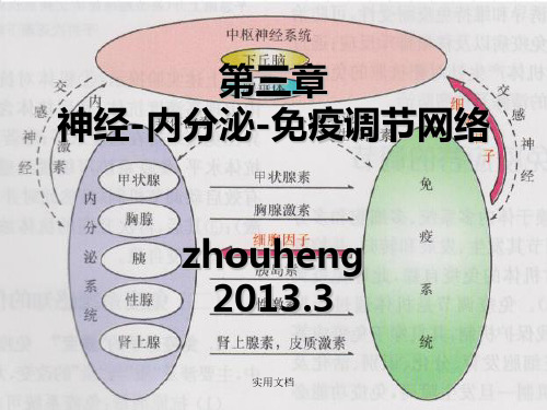 第三章 神经内分泌免疫系统