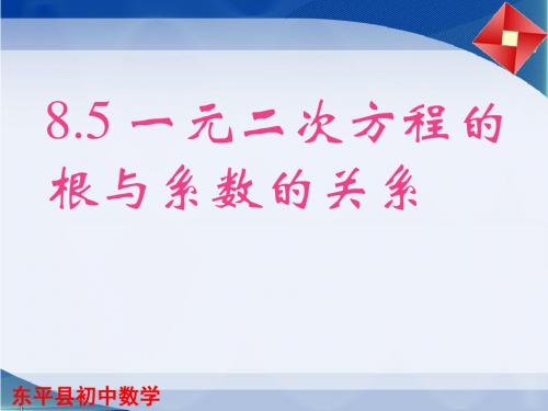 8.5一元二次方程的根与系数的关系 (共19张PPT)