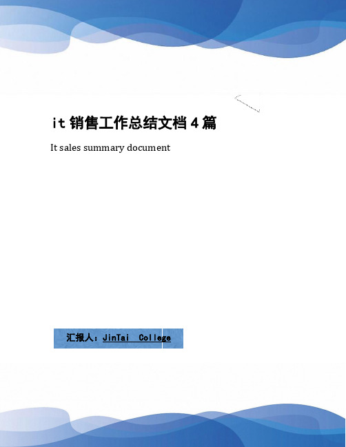 it销售工作总结文档4篇