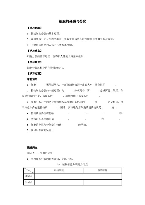 济南版七年级上册生物《细胞的分裂与分化》精品学案