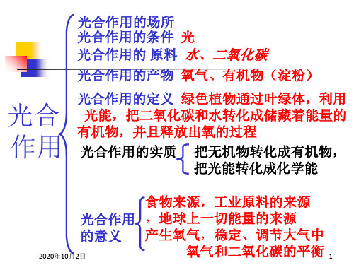 绿色植物是生物圈中有机物的制造者PPT课件