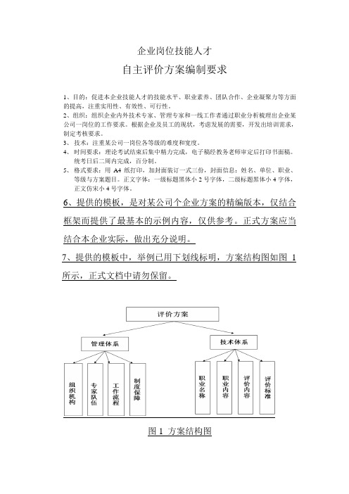 自主评价方案