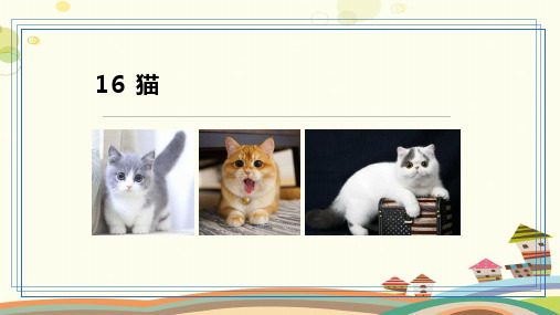 语文人教七年级上册第五单元 猫 -PPT