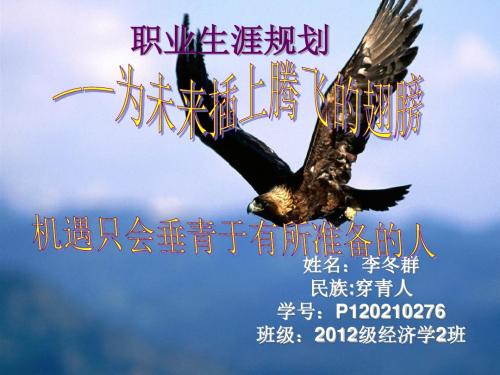 李冬群 职业生涯规划