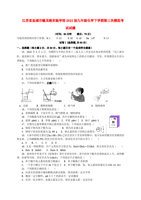 江苏省盐城市毓龙路实验学校九年级化学下学期第三次模拟考试试题