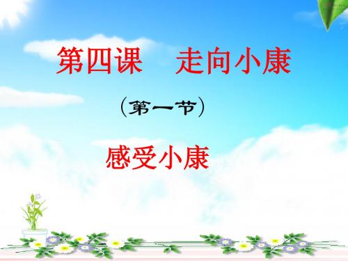 第4课走向小康