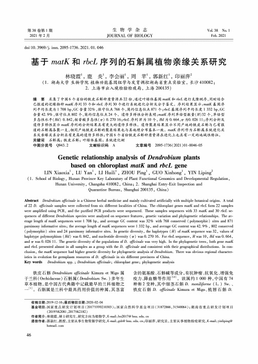 基于matK和rbcL序列的石斛属植物亲缘关系研究