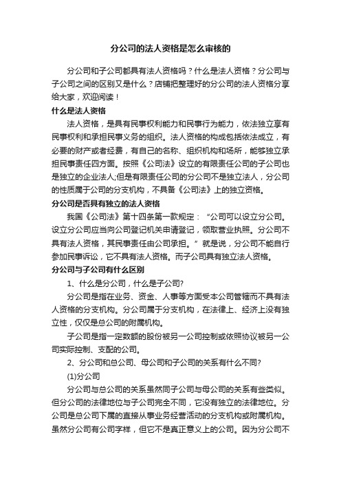 分公司的法人资格是怎么审核的