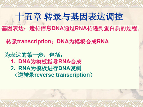 大学生化课件-15.转录与基因表达调控