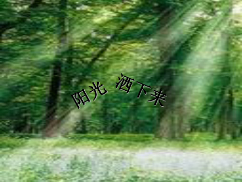 (精选)四年级语文上册第三单元阳光洒下来PPT课件3鄂教版