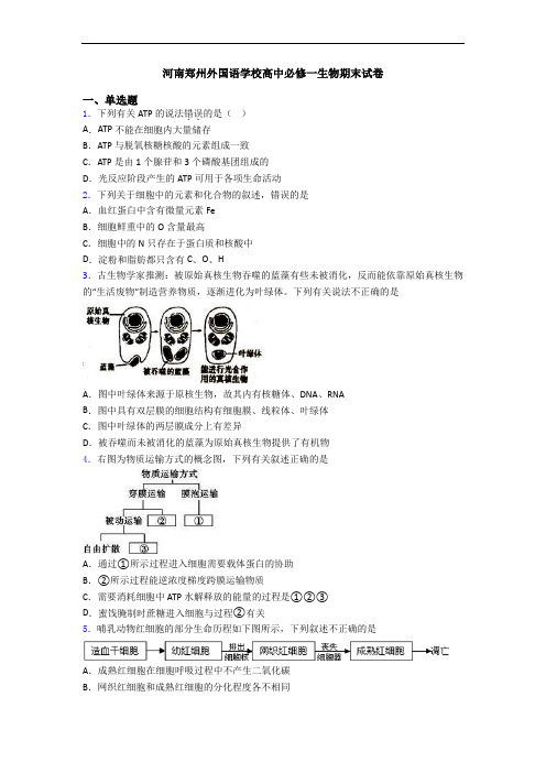 河南郑州外国语学校高中必修一生物期末试卷