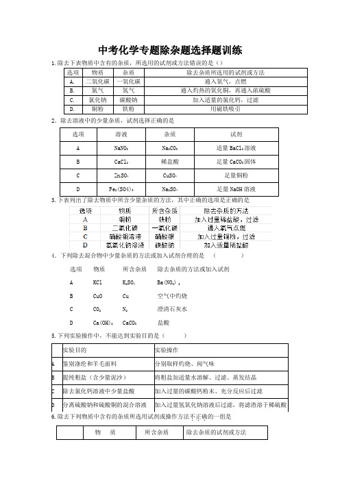 中考化学专题除杂题选择题训练