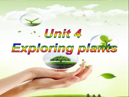 人教版高中英语选修9课件：Unit 4 Exploring plants Using language(共28张PPT)