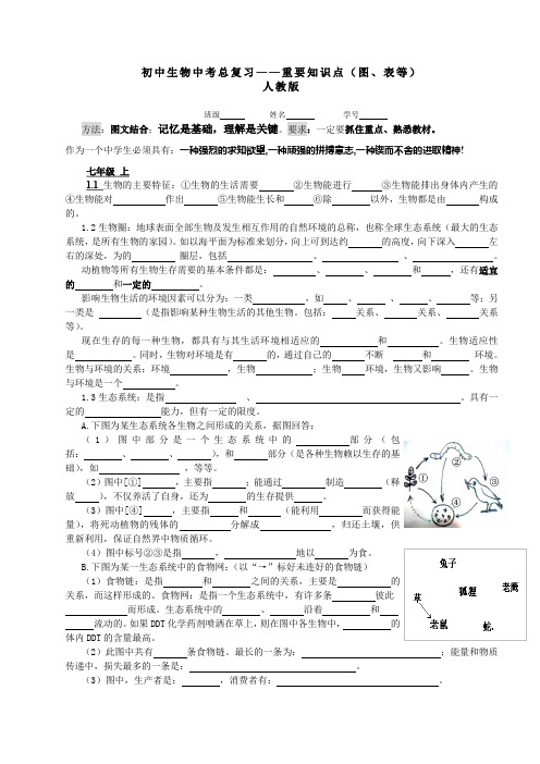 初中生物中考总复习重要知识点(图、表等)人教版