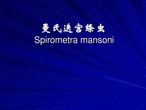 医学寄生虫学393曼氏迭宫绦虫 共13页PPT资料