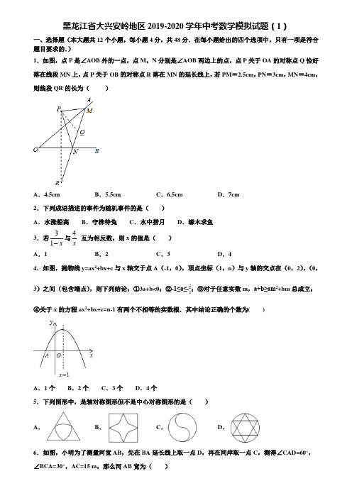 黑龙江省大兴安岭地区2019-2020学年中考数学模拟试题(1)含解析