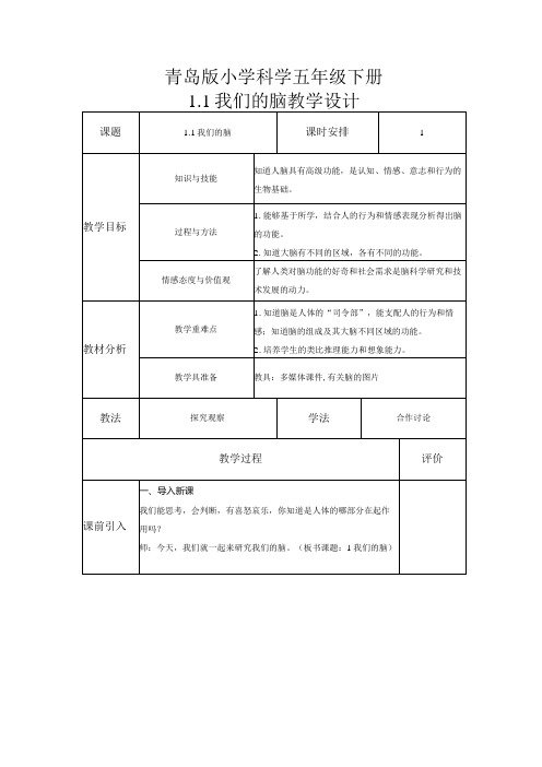 11我们的脑(教案)五年级科学下册(青岛版)