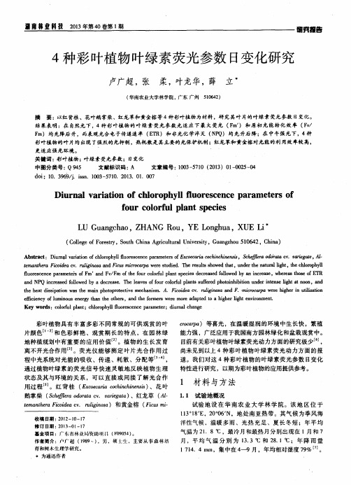 4种彩叶植物叶绿素荧光参数日变化研究