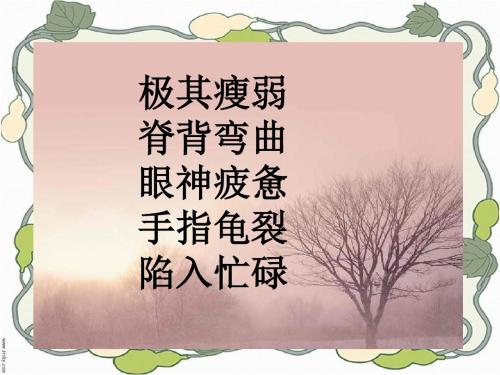 《慈母情深》ppt课件(17页)