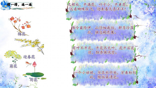 2.《花的学校》课件(共48张PPT)