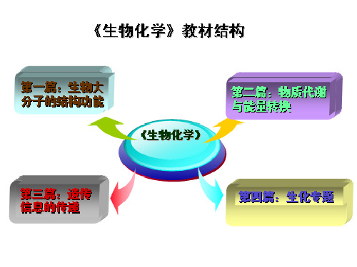 蛋白质的基本组成单位氨基酸及其连接方式