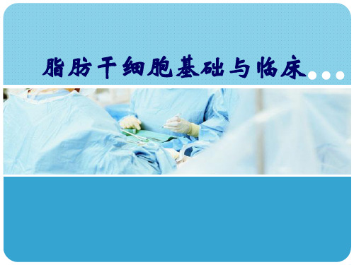 脂肪干细胞向脂肪细胞定向分化