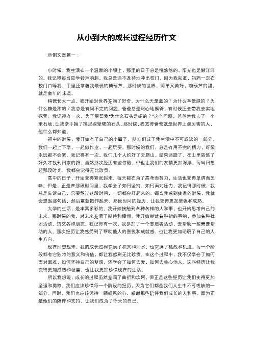 从小到大的成长过程经历作文