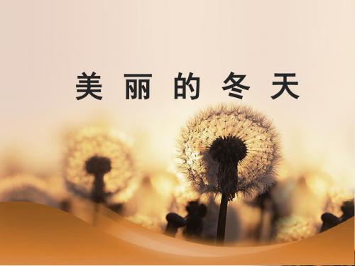 最新部编版小学道德与法治一年级上册13《美丽的冬天》精品课件