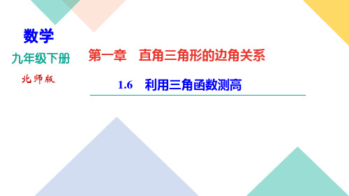 九年级数学北师大版下册习题课件第一章1.6 利用三角函数测高