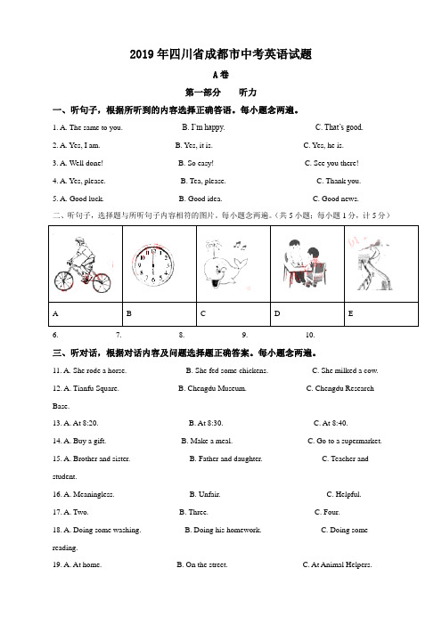 2019年四川省成都市中考英语试题(原卷+解析版)真题含答案