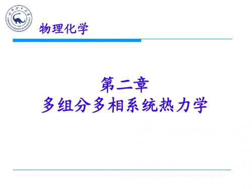 物理化学02多组分多相系统热力学