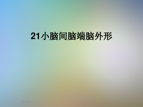 21小脑间脑端脑外形