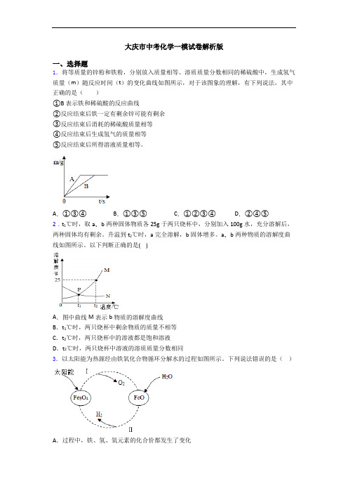 大庆市中考化学一模试卷解析版