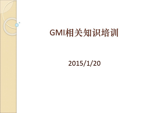 GMI相关知识培训