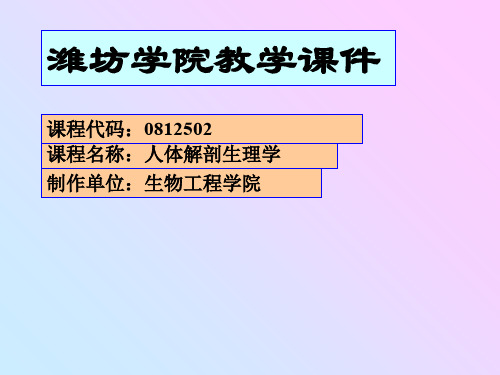 人体解剖生理学人体的基本结构