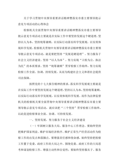 关于学习贯彻中央领导重要讲话精神暨落实市委主要领导批示意见专项活动的心得体会